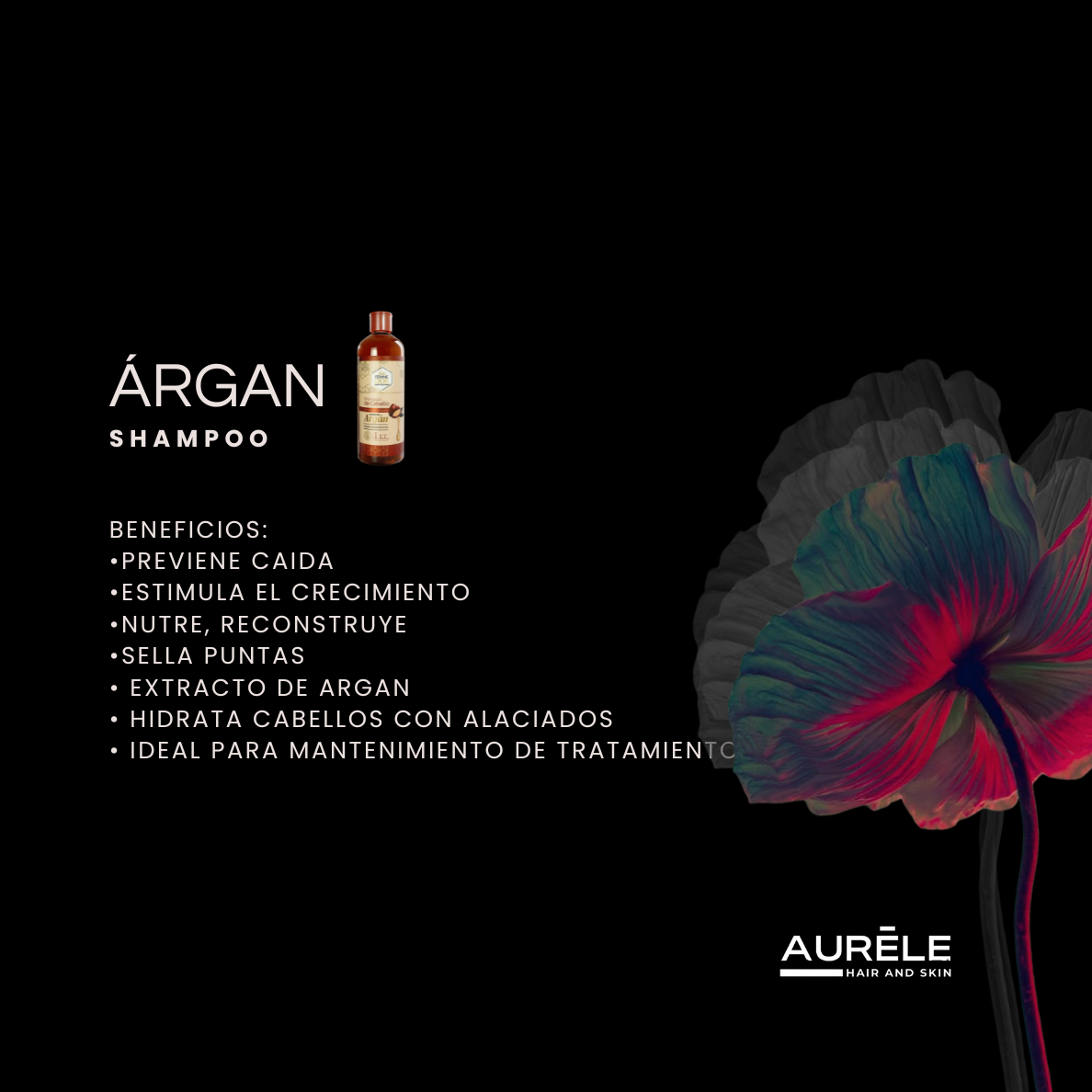 ARGÁN 1 LT | SHAMPOO